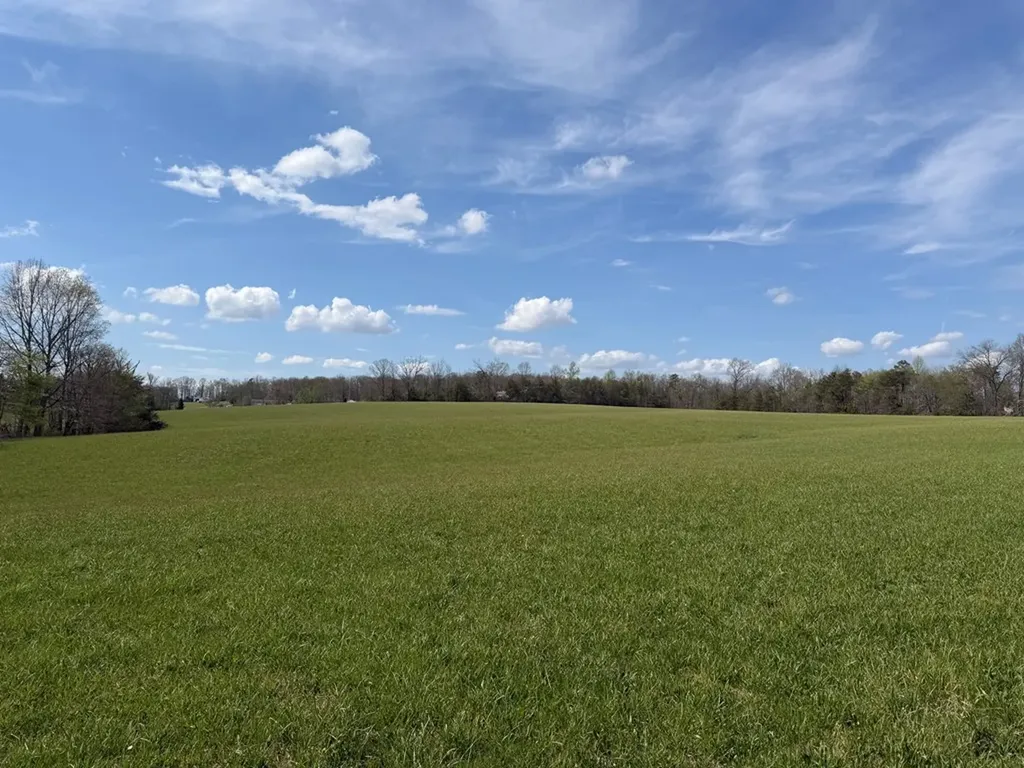 1342 Walt Reed Road Grandview TN 37337