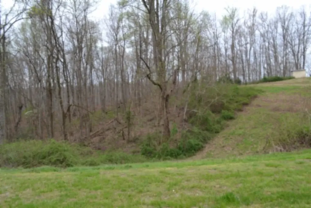 214 Don't Care Lane Celina TN 38551