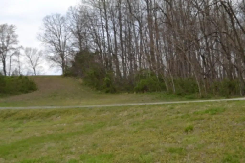 214 Don't Care Lane Celina TN 38551