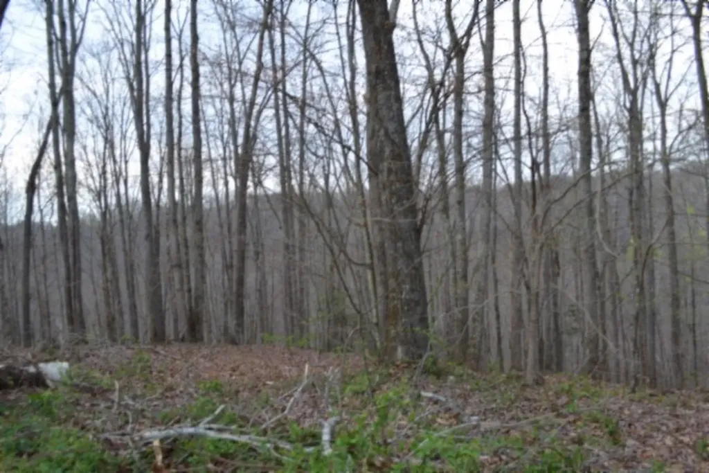 214 Don't Care Lane Celina TN 38551