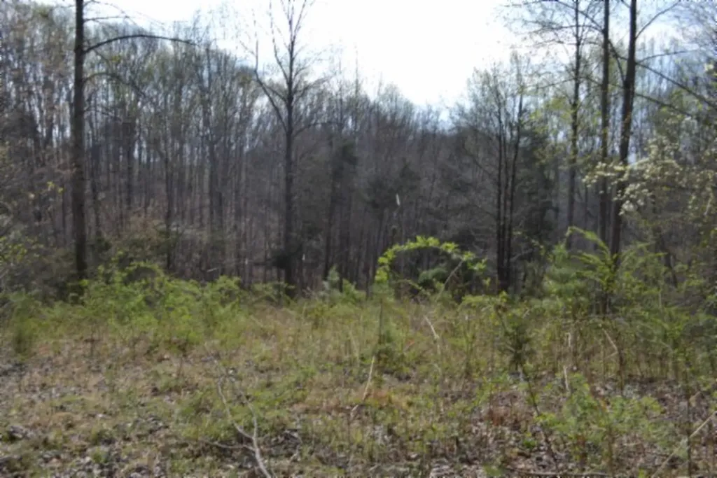 214 Don't Care Lane Celina TN 38551