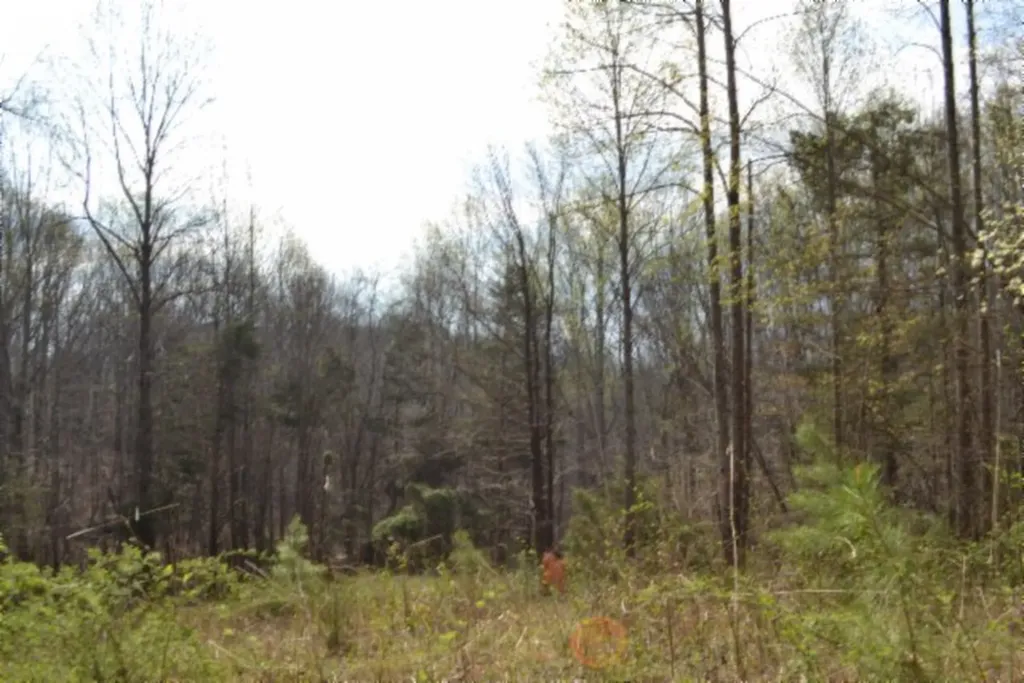 214 Don't Care Lane Celina TN 38551
