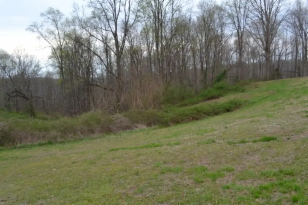 214 Don't Care Lane Celina TN 38551