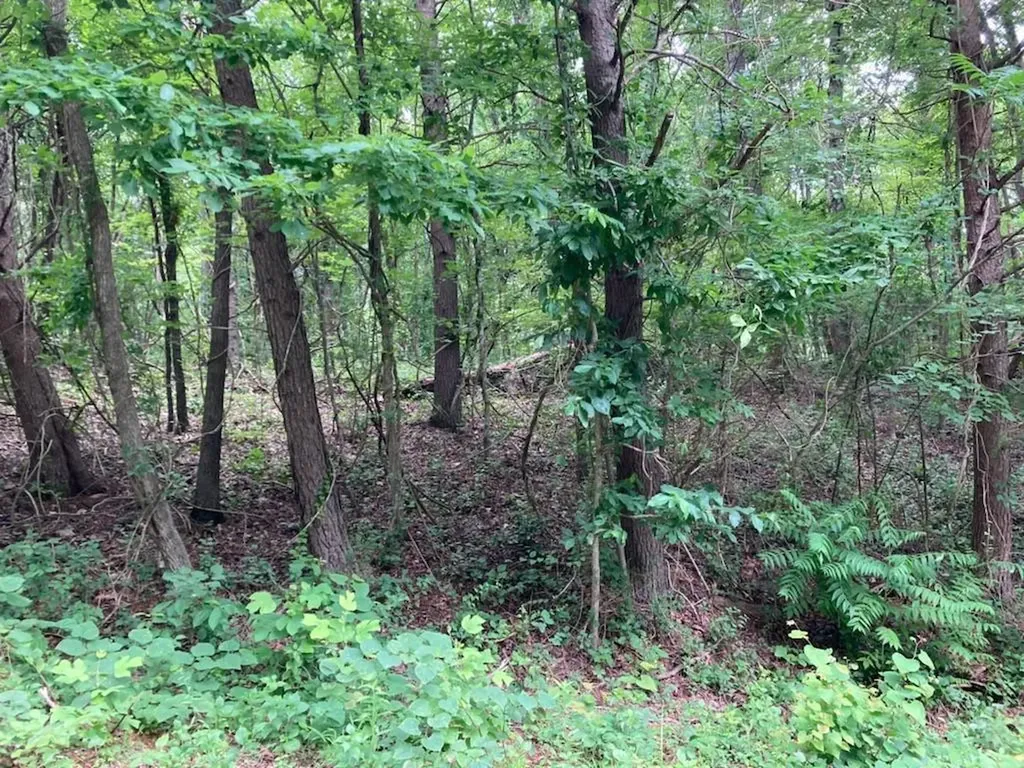 5557 Emerald Road Cookeville TN 38501