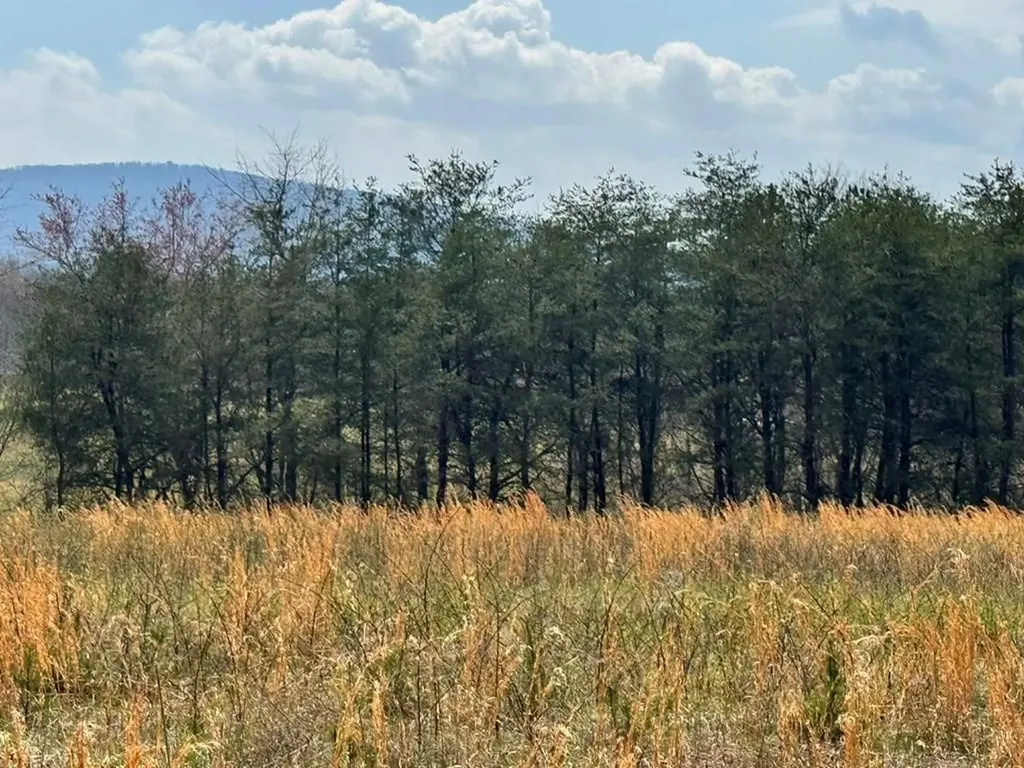 Crab Orchard TN 37723