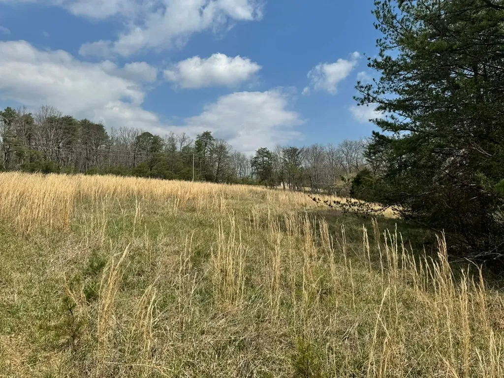 Crab Orchard TN 37723