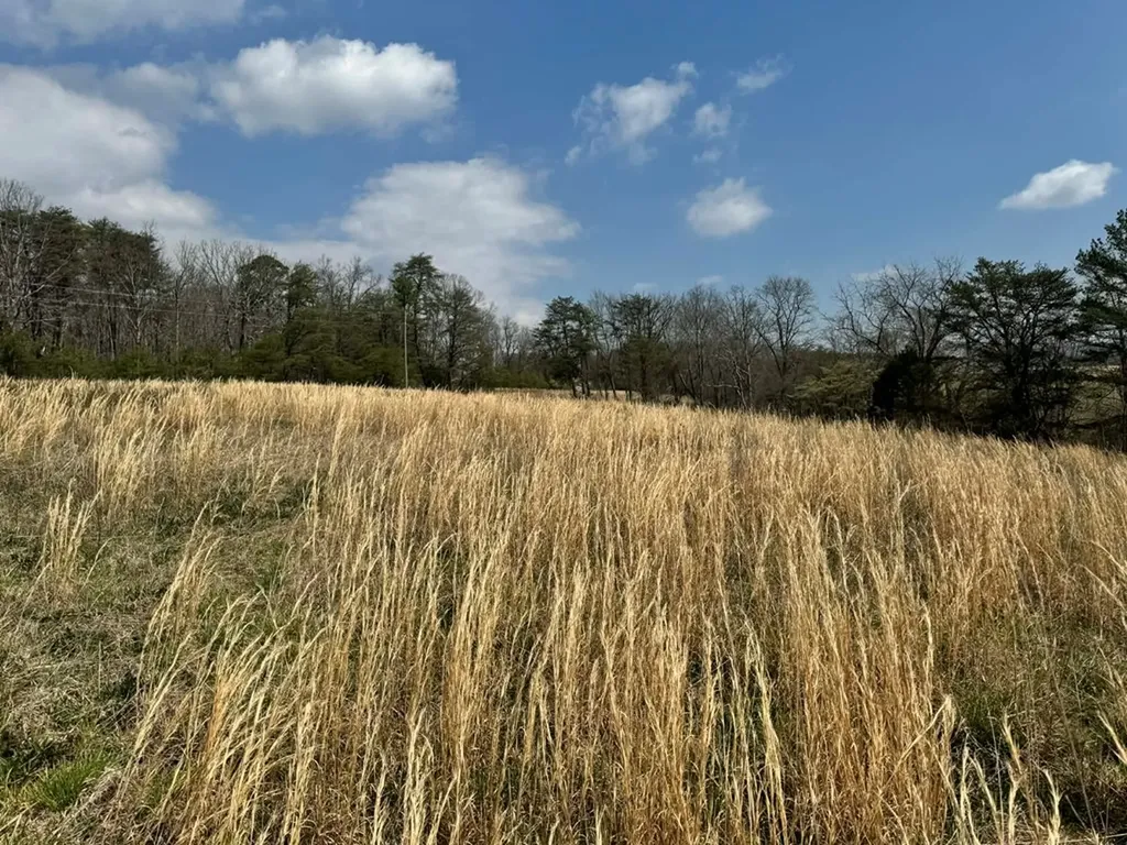 Crab Orchard TN 37723