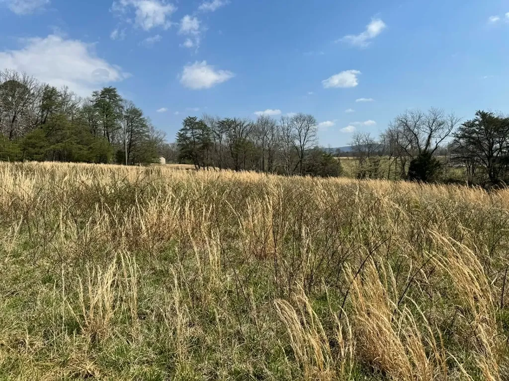 Crab Orchard TN 37723