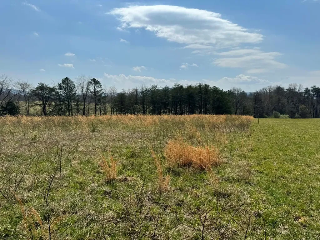 Crab Orchard TN 37723