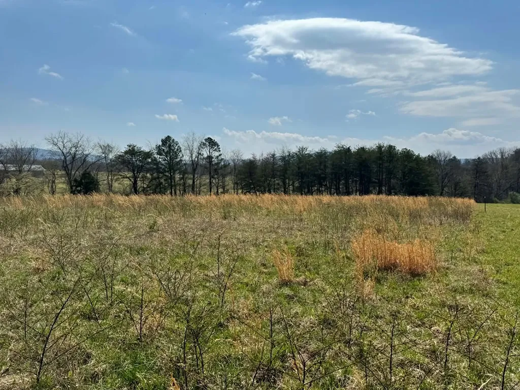 Crab Orchard TN 37723