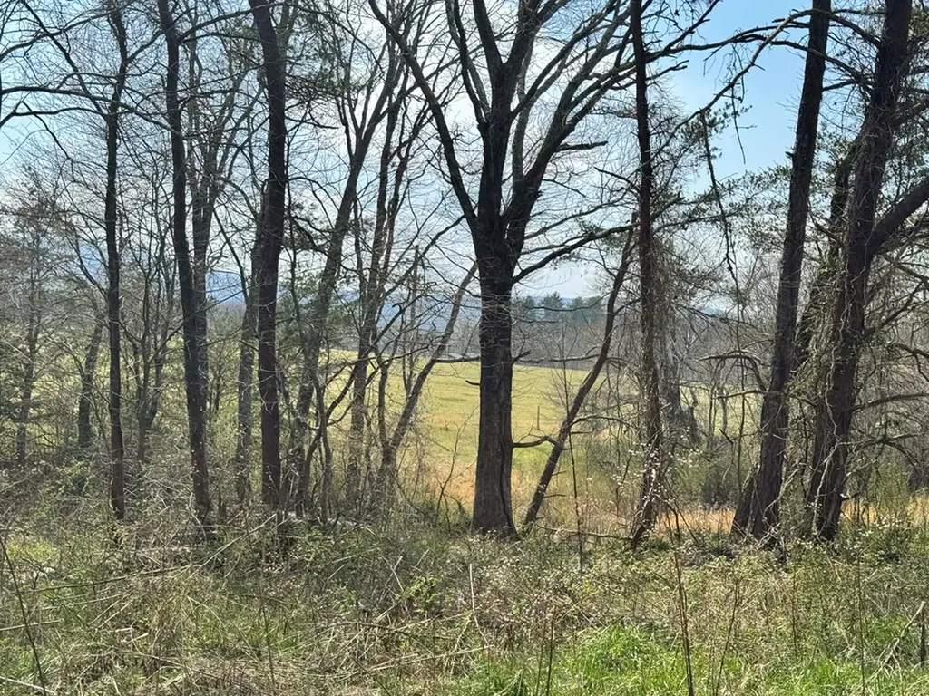 Crab Orchard TN 37723