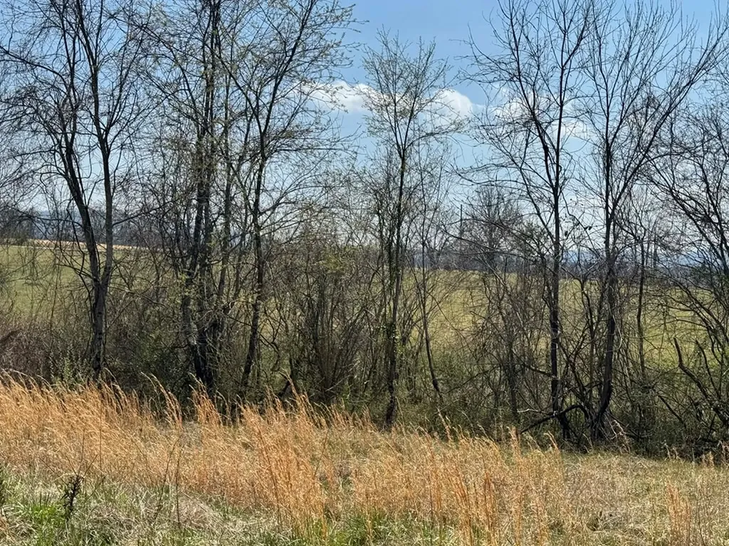 Crab Orchard TN 37723