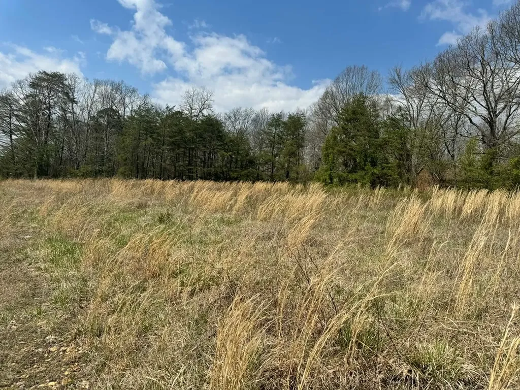 Crab Orchard TN 37723