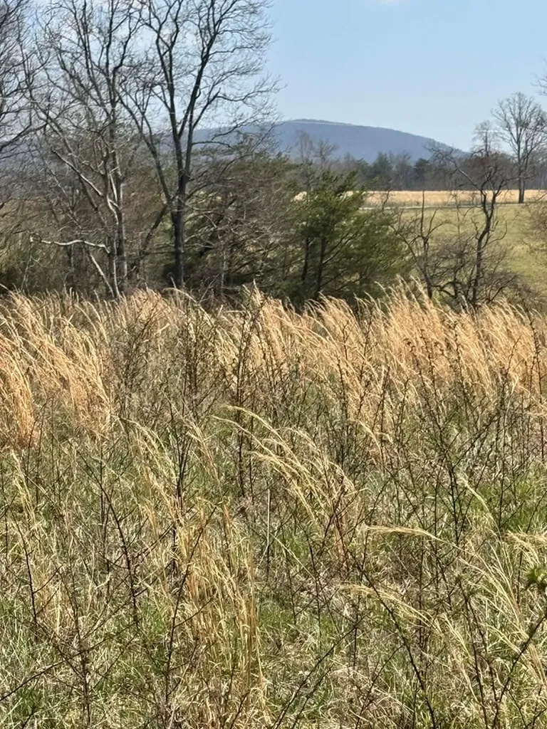 Crab Orchard TN 37723