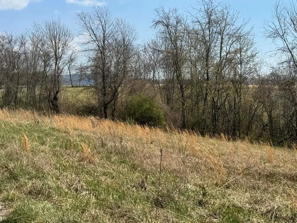Crab Orchard TN 37723