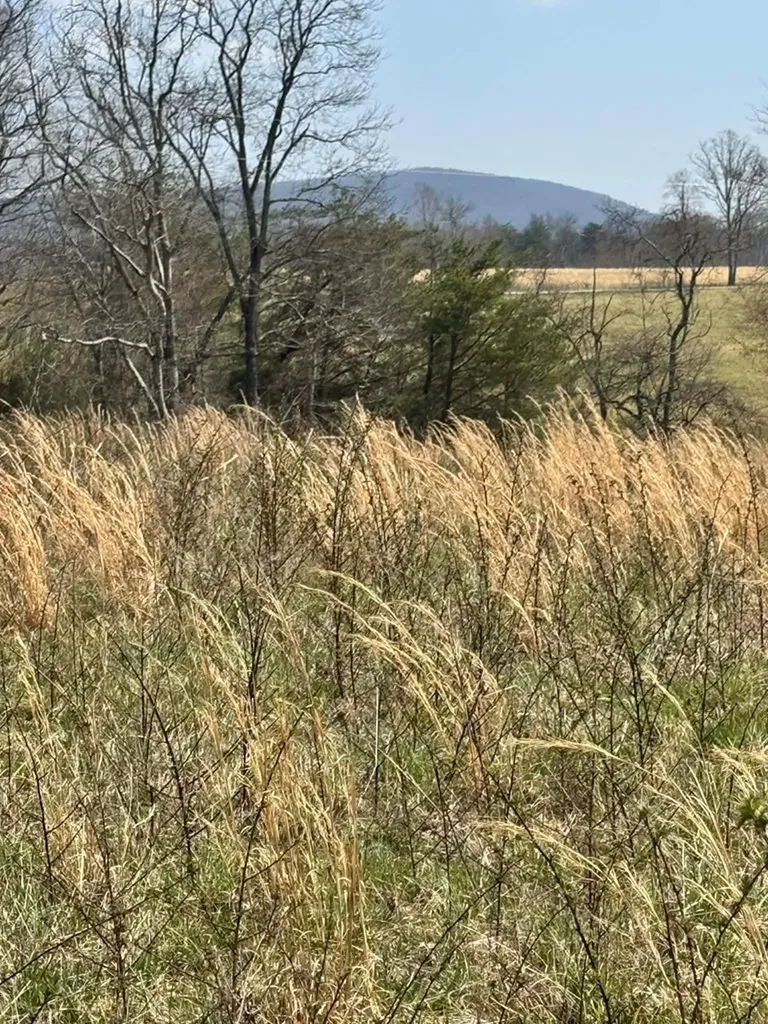 Crab Orchard TN 37723