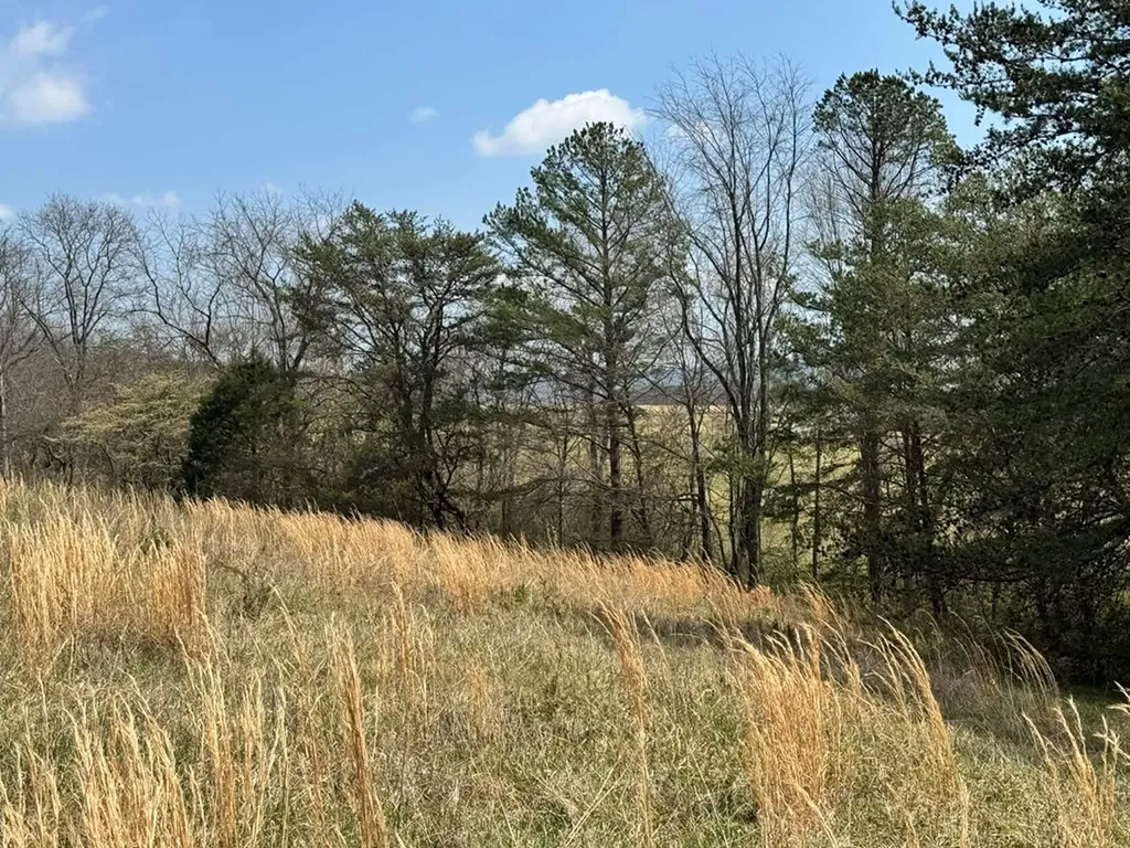 Crab Orchard TN 37723