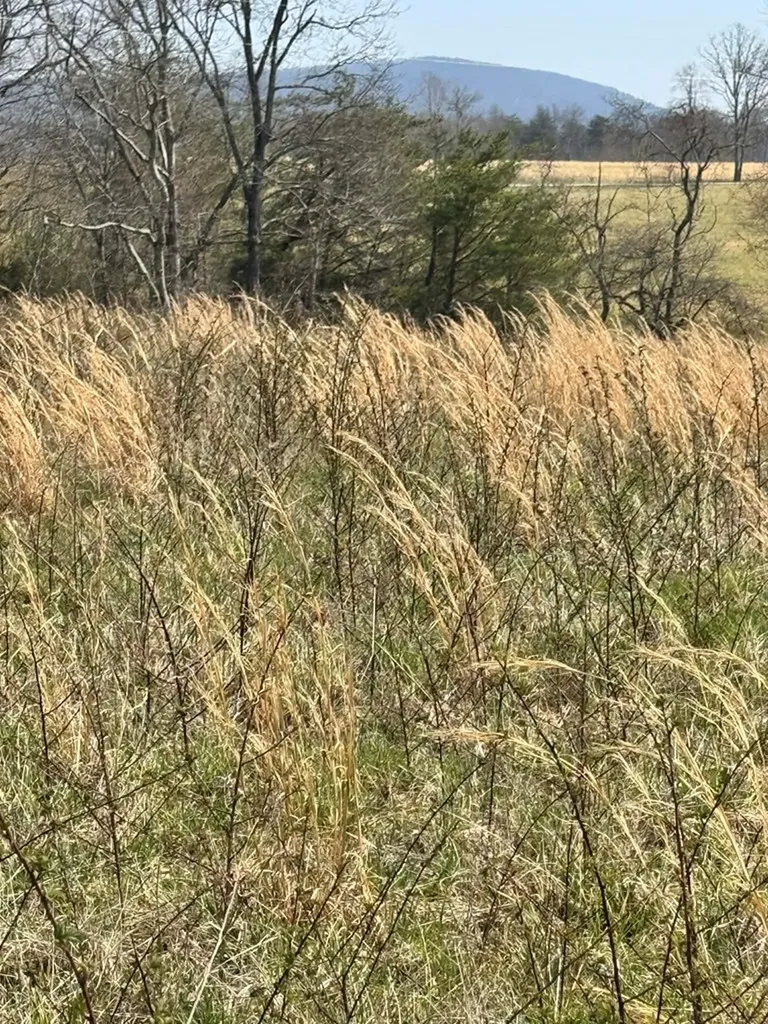 Crab Orchard TN 37723