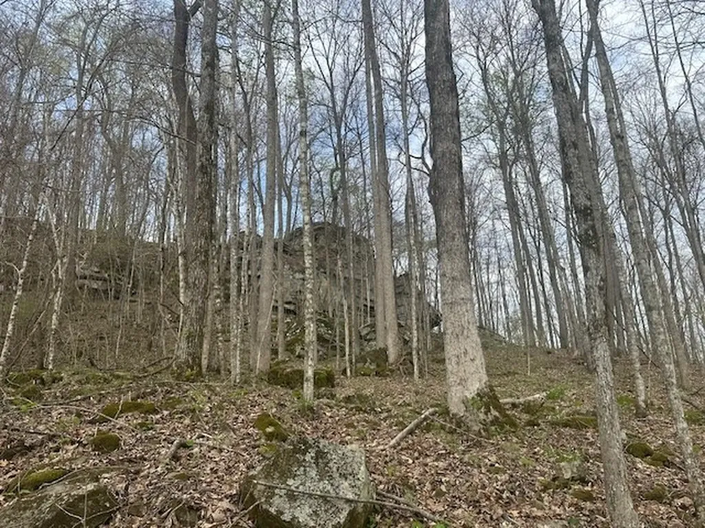 Lot 84 Buckeye Lane Wilder TN 38589