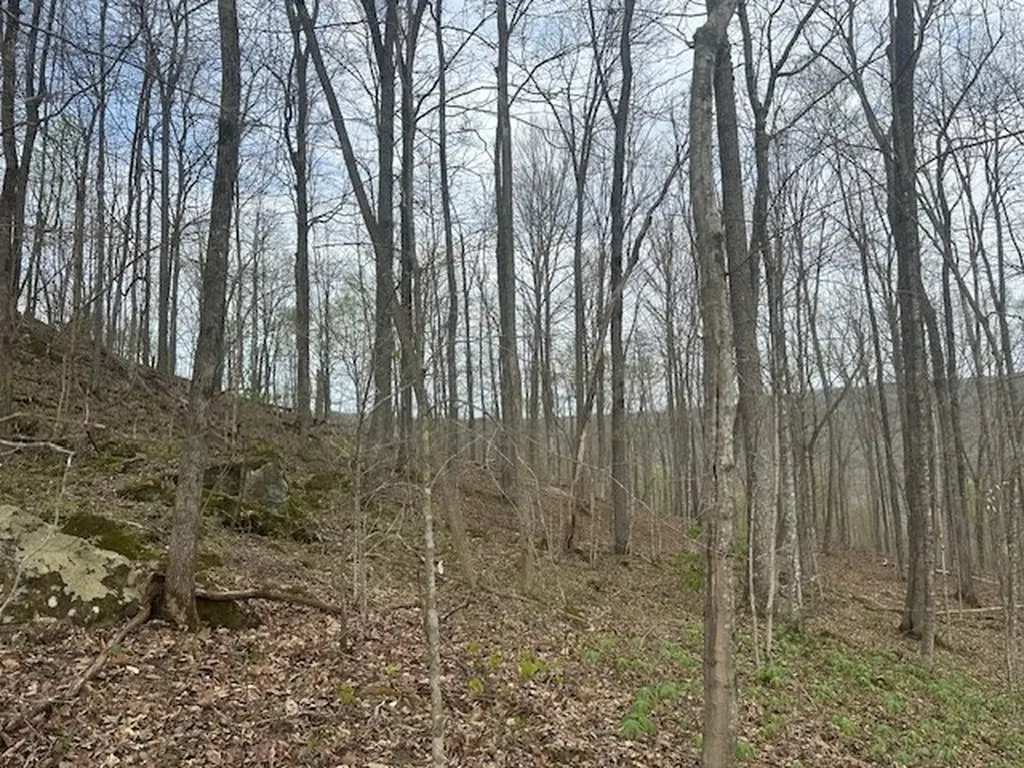 Lot 84 Buckeye Lane Wilder TN 38589