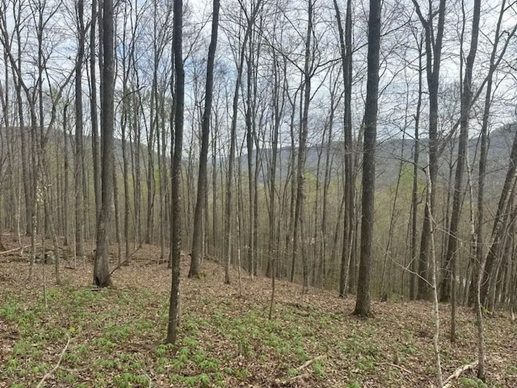 Lot 84 Buckeye Lane Wilder TN 38589