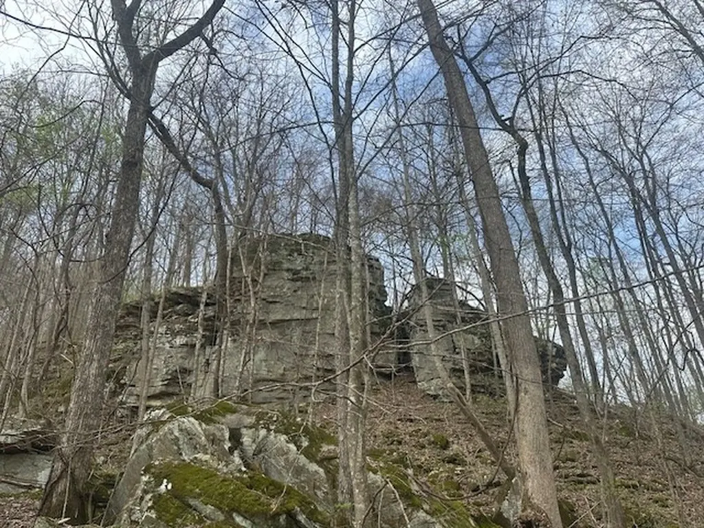 Lot 84 Buckeye Lane Wilder TN 38589