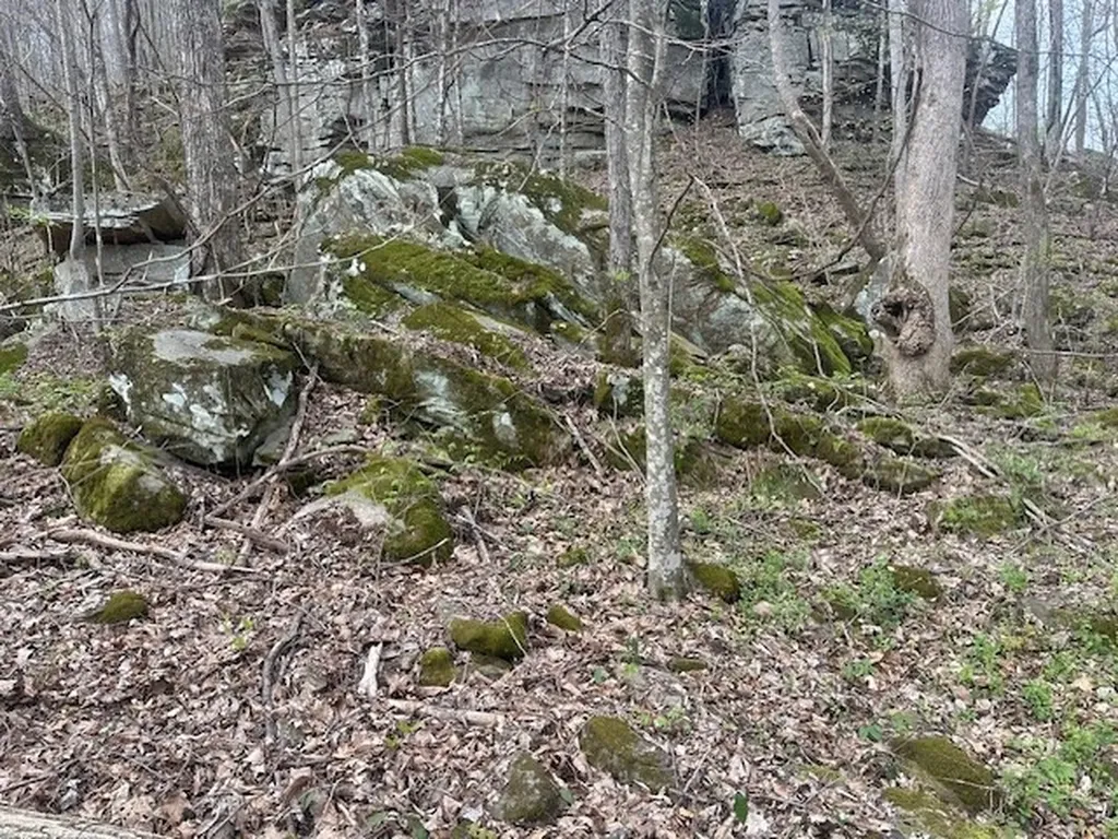 Lot 84 Buckeye Lane Wilder TN 38589