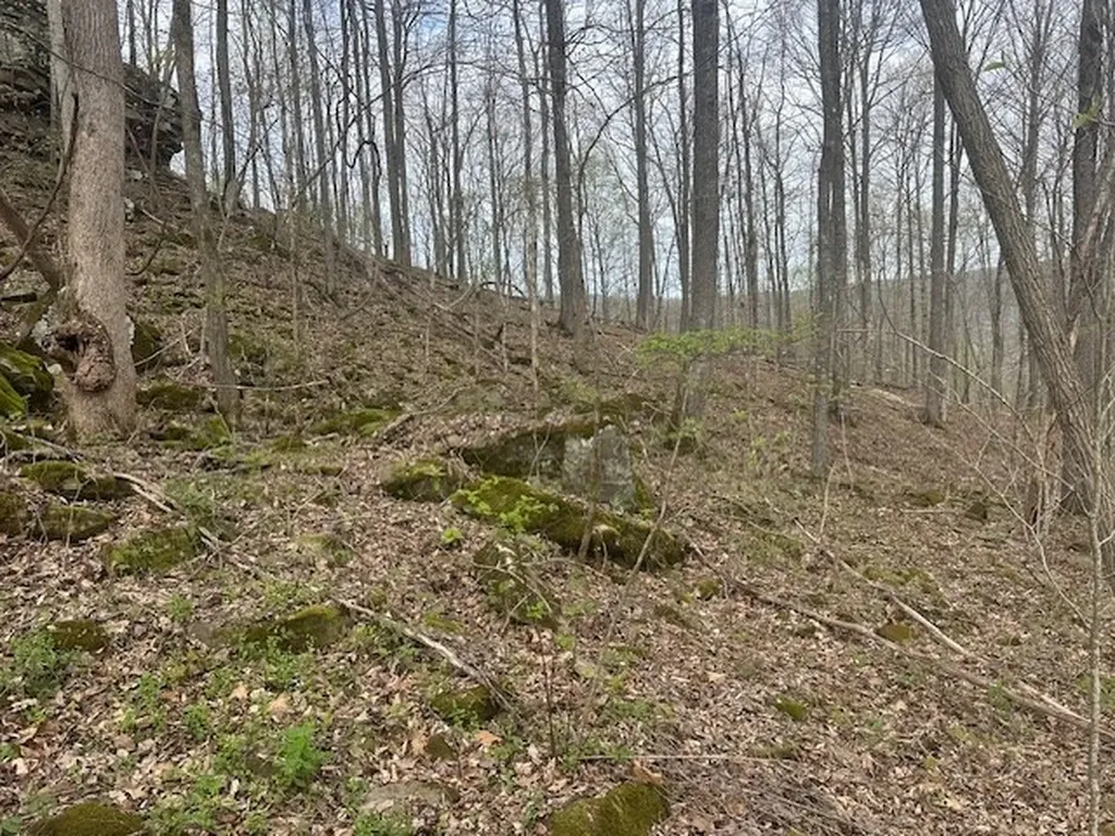 Lot 84 Buckeye Lane Wilder TN 38589