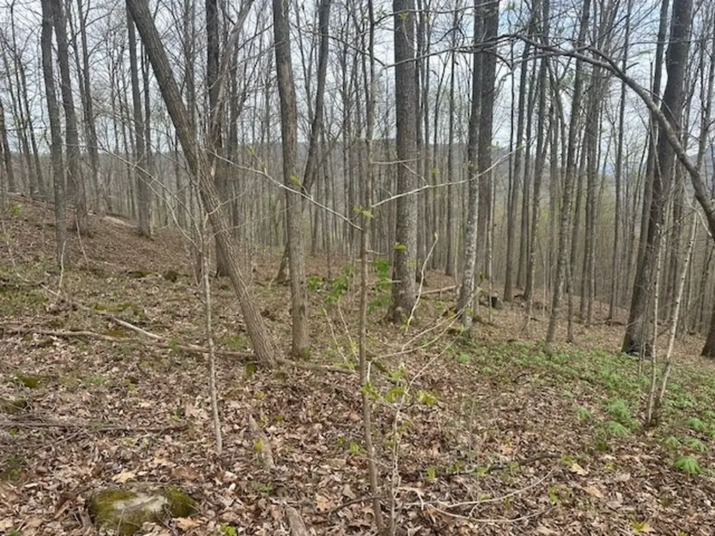 Lot 84 Buckeye Lane Wilder TN 38589