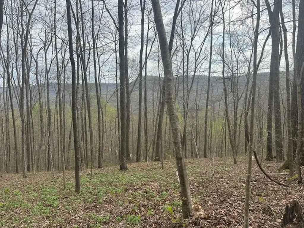 Lot 84 Buckeye Lane Wilder TN 38589