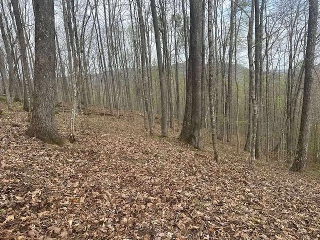 Lot 84 Buckeye Lane Wilder TN 38589