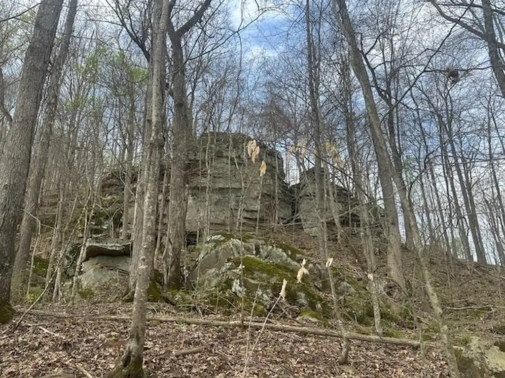Lot 84 Buckeye Lane Wilder TN 38589