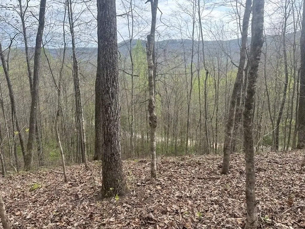 Lot 84 Buckeye Lane Wilder TN 38589
