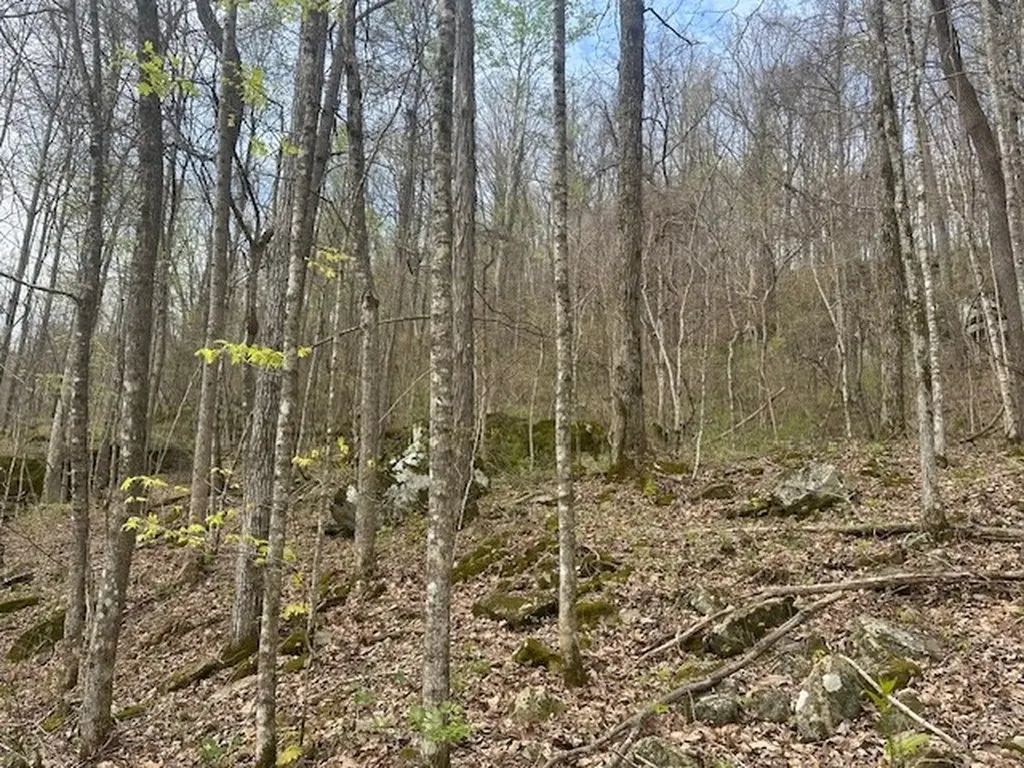 Lot 84 Buckeye Lane Wilder TN 38589
