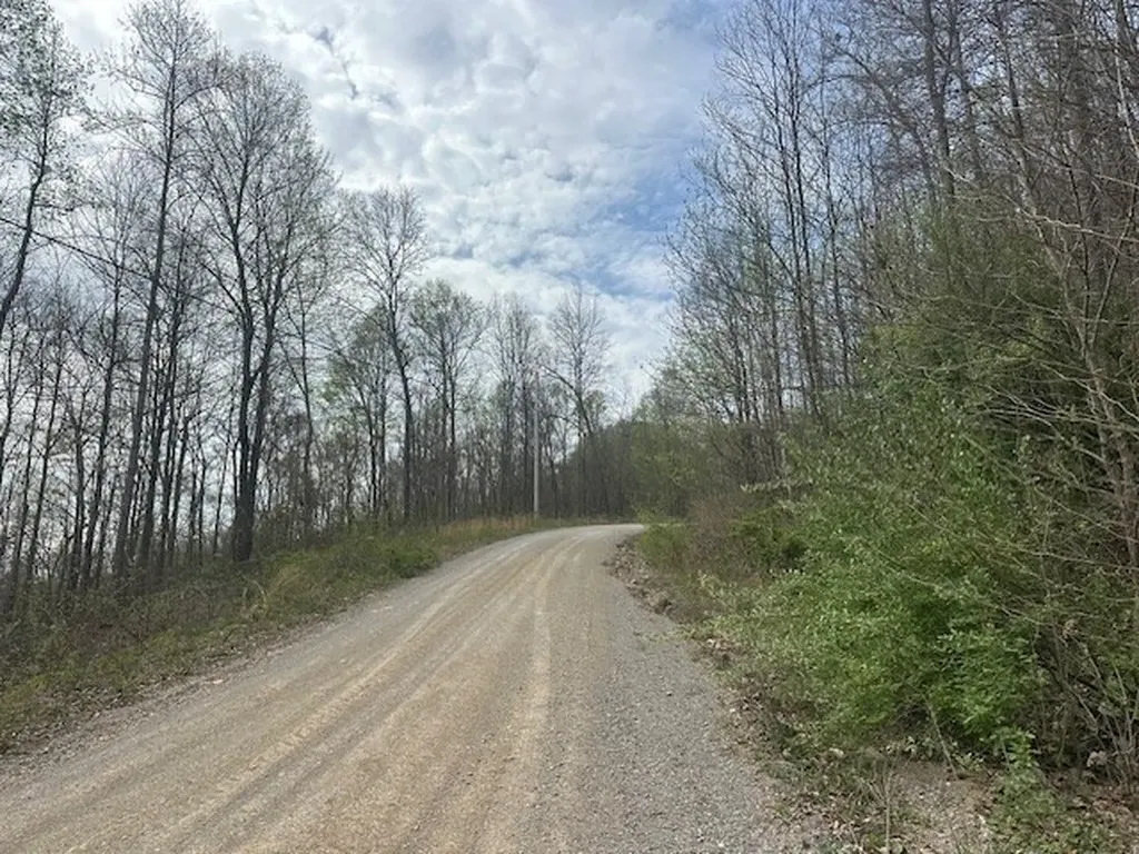 Lot 84 Buckeye Lane Wilder TN 38589