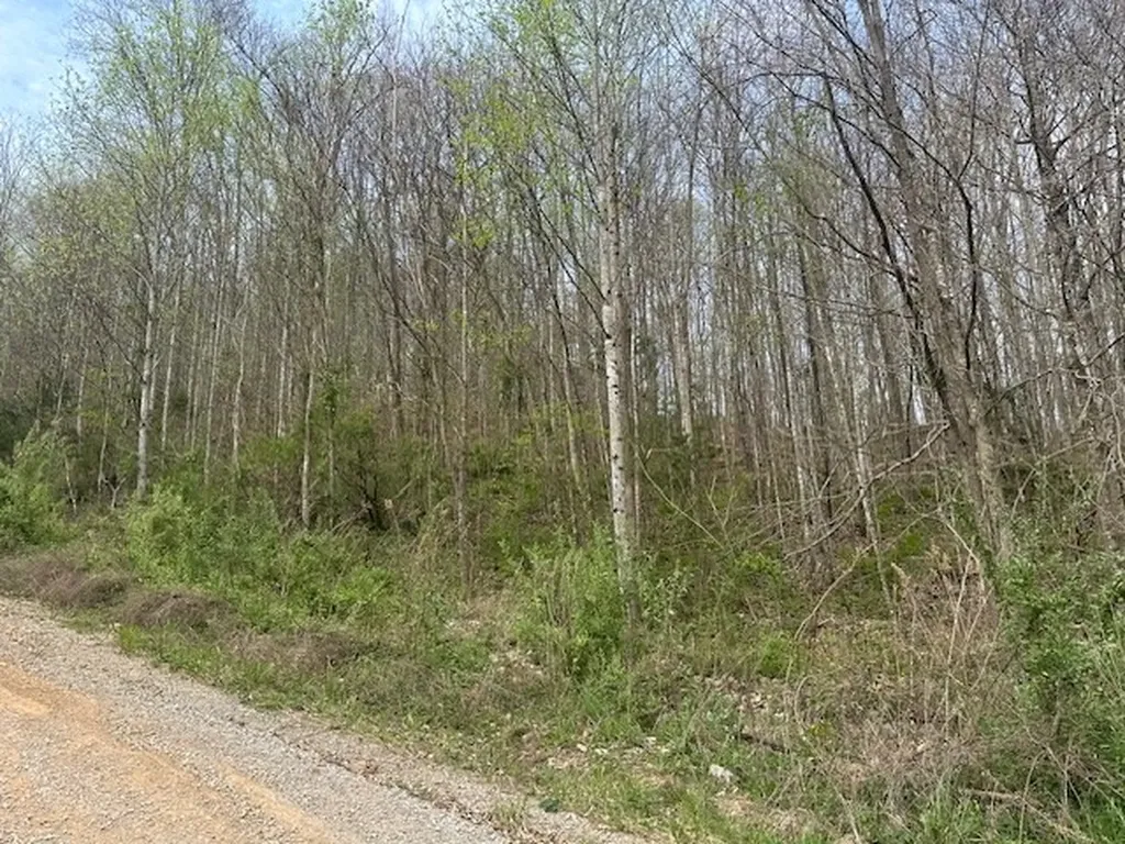 Lot 84 Buckeye Lane Wilder TN 38589