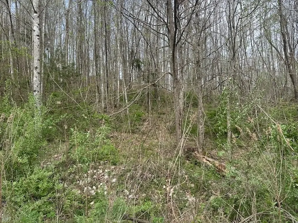 Lot 84 Buckeye Lane Wilder TN 38589
