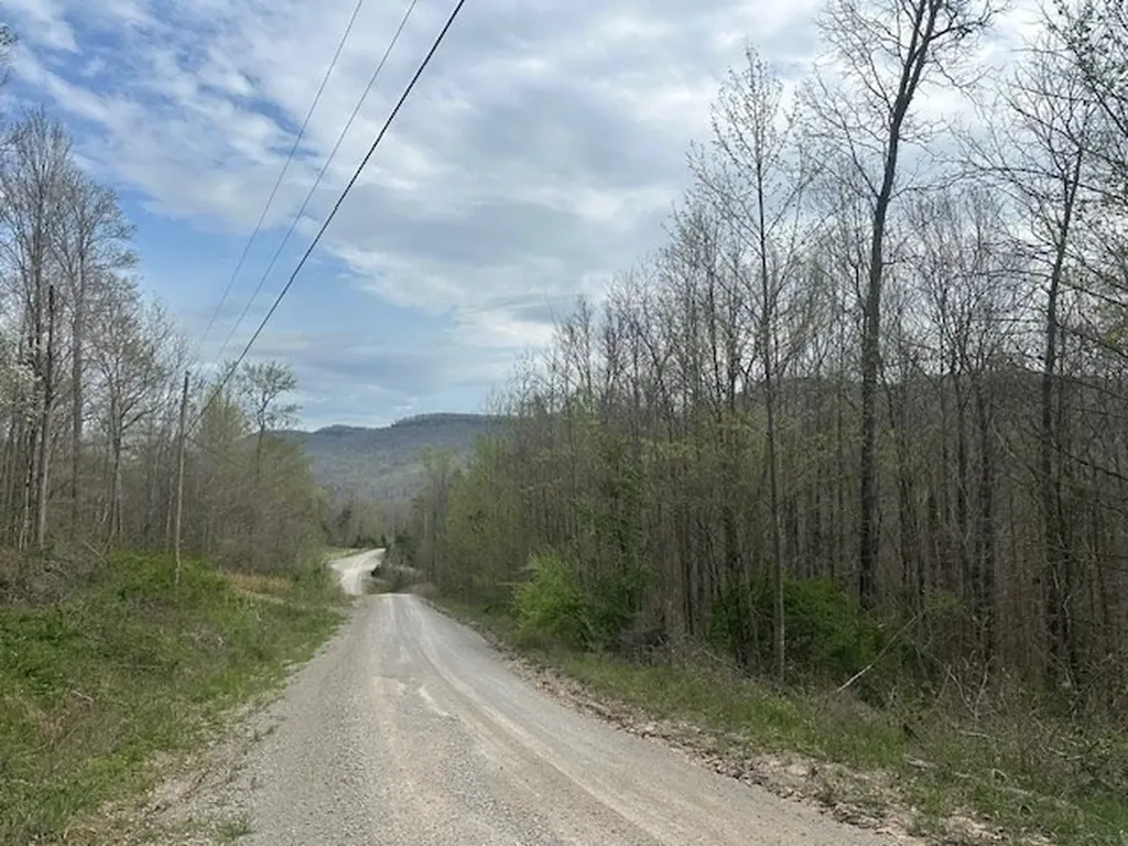 Lot 84 Buckeye Lane Wilder TN 38589