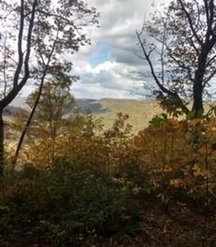 Lot 84 Buckeye Lane Wilder TN 38589