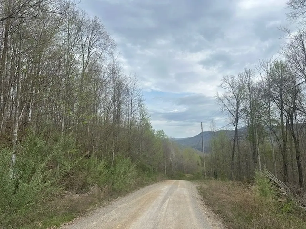 Lot 84 Buckeye Lane Wilder TN 38589