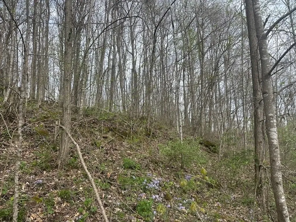 Lot 84 Buckeye Lane Wilder TN 38589