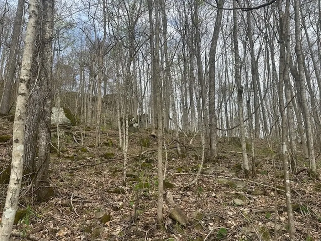 Lot 84 Buckeye Lane Wilder TN 38589