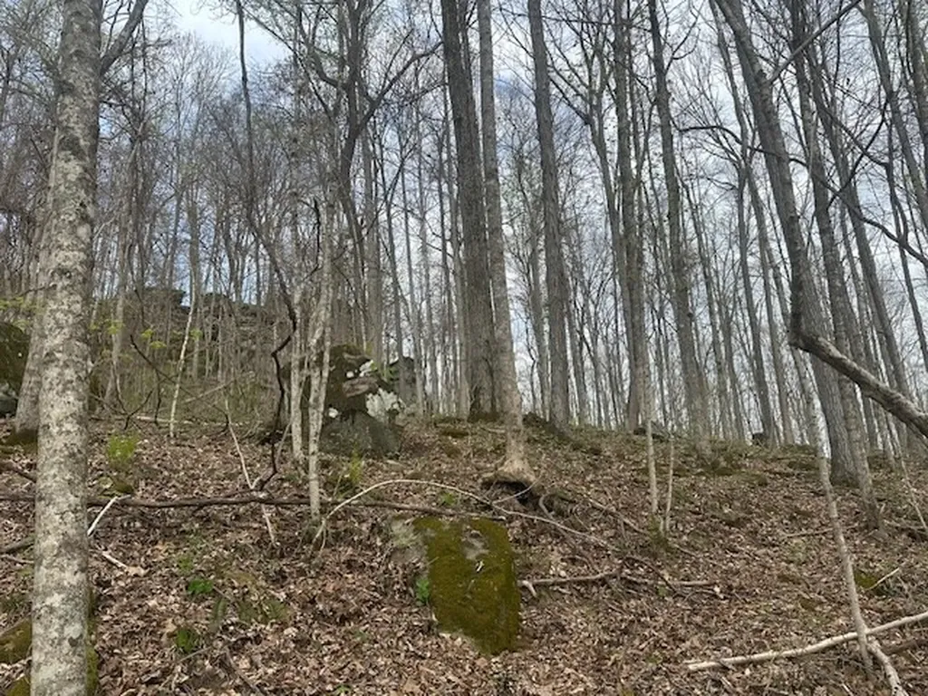 Lot 84 Buckeye Lane Wilder TN 38589