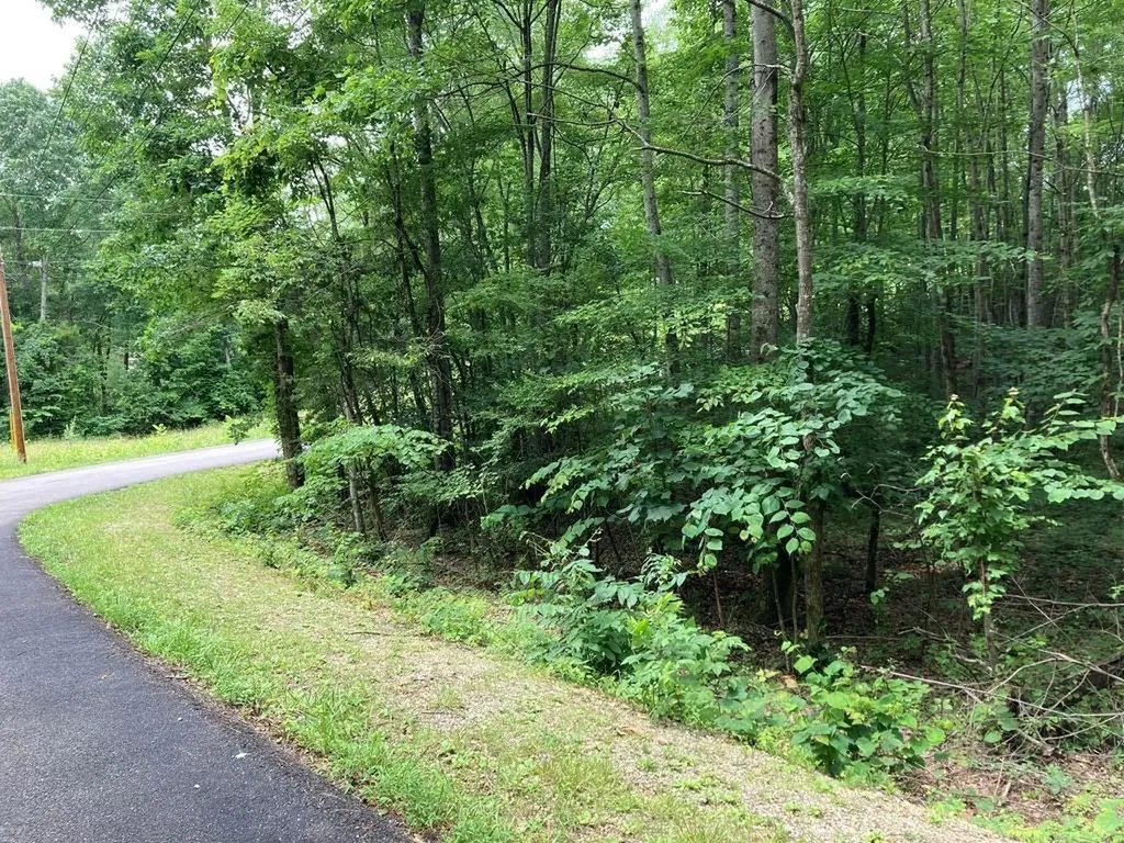 5546 Emerald Road Cookeville TN 38501
