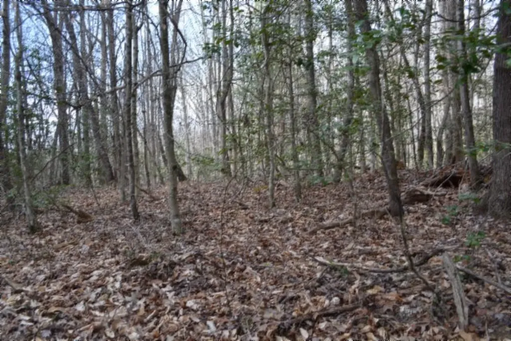 10.79AC S/o Buffalo Road Oneida TN 37841