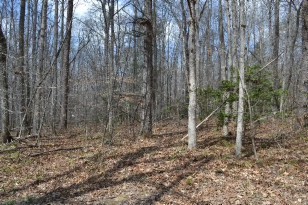 10.79AC S/o Buffalo Road Oneida TN 37841
