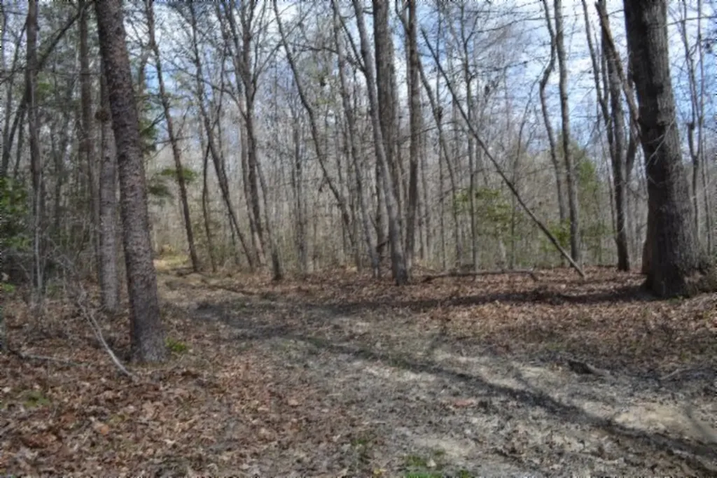 10.79AC S/o Buffalo Road Oneida TN 37841
