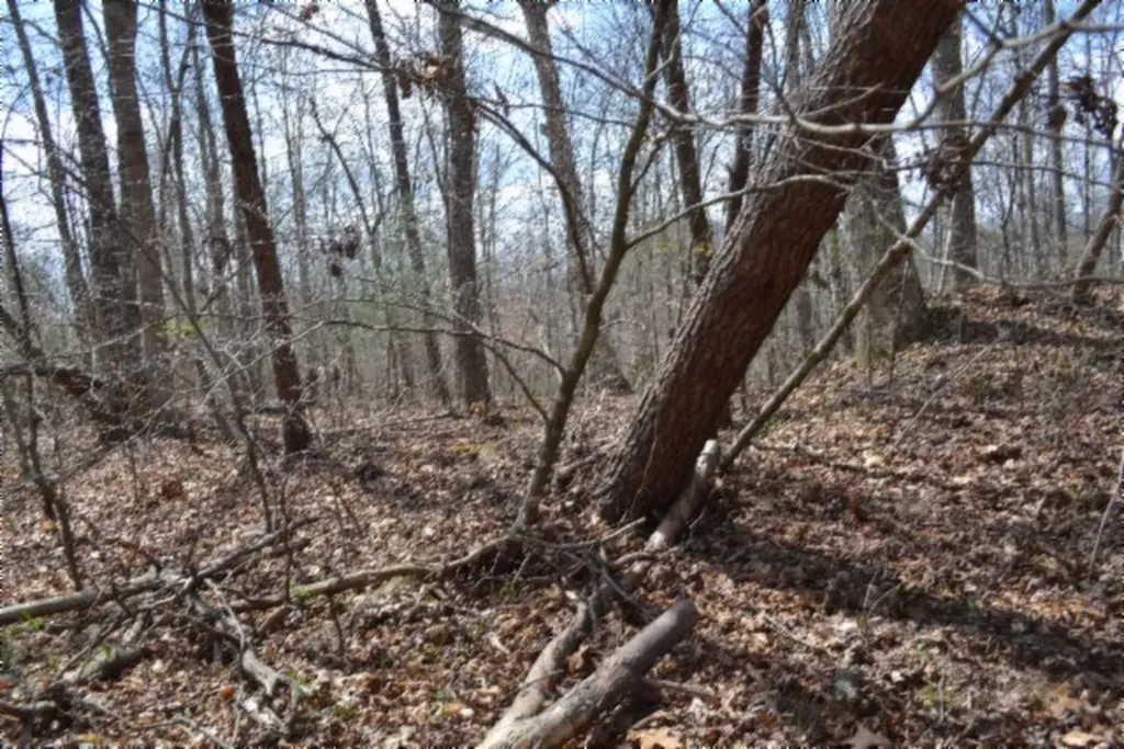 10.79AC S/o Buffalo Road Oneida TN 37841