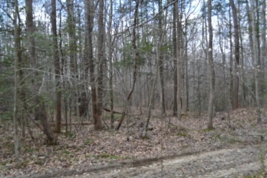 10.79AC S/o Buffalo Road Oneida TN 37841