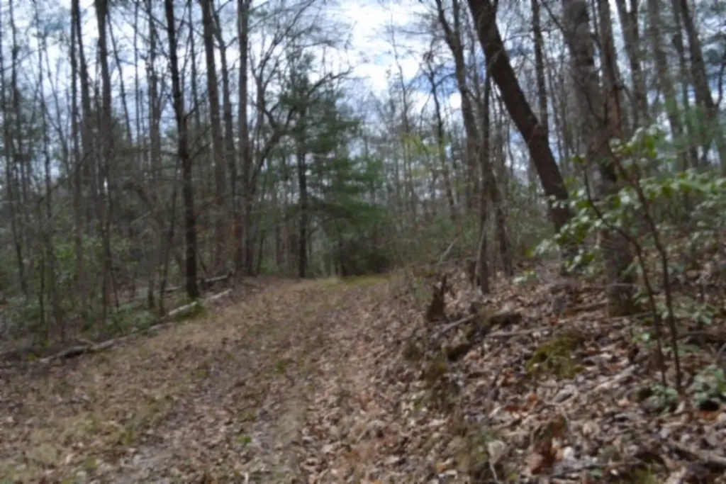 10.79AC S/o Buffalo Road Oneida TN 37841